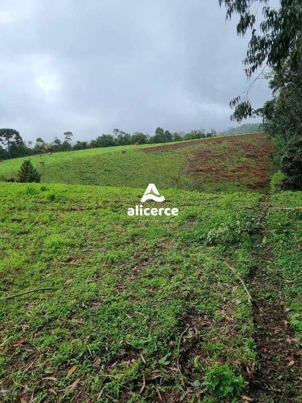 Imagem Terreno à venda com , 30.000m² em Vargedo Rancho Queimado
