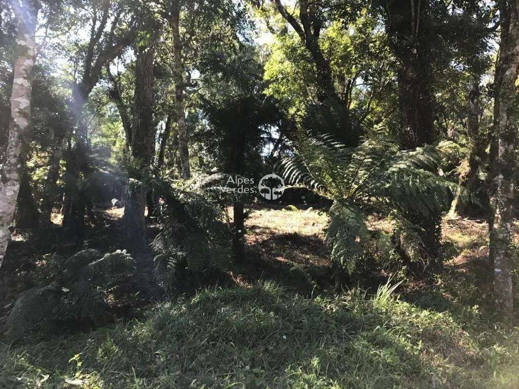 Imagem Vende-se Terreno em Canela a cerca de 3 minutos da Catedral de Pedra