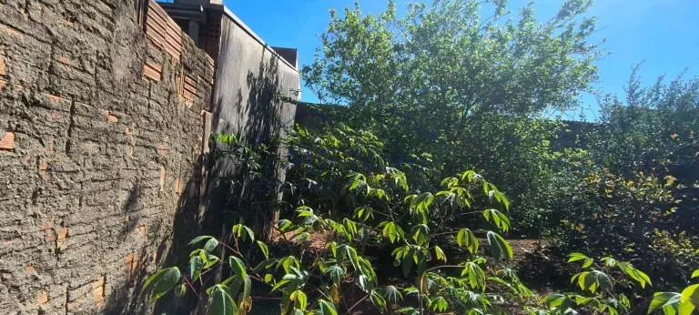 Imagem Terreno Padrão