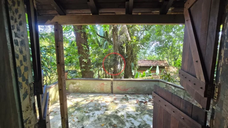 Imagem 2 CASAS VISTA PREVILEGIADA PARA A PRAIA DE CAMBURY E CAMBURIZINHO TERRENO DE 1488M² ACESSO PELA ESTRADA NO MEIO DA MATA ATLANTICA