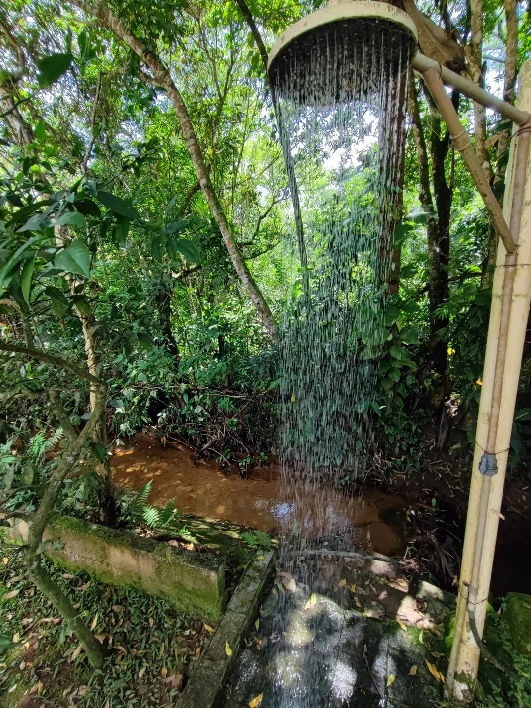Imagem Chácara à venda 2 Quartos, 4 Vagas, 1200M², Ribeirão Grande, Pindamonhangaba - SP