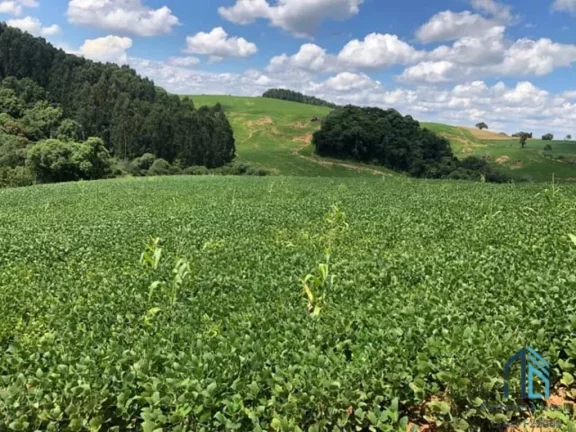 Imagem Área a venda terreno Rural para plantio e chácara na Lapa Paraná