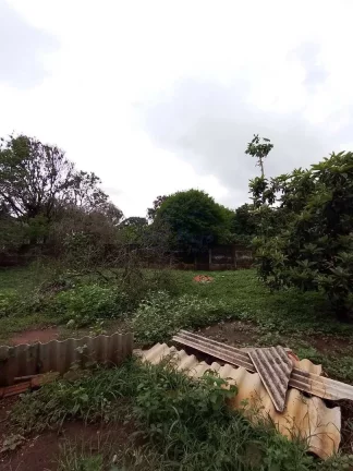 Imagem Terreno Padrão