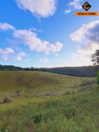 Imagem FAZENDA EM MATA DE SÃO JOÃO