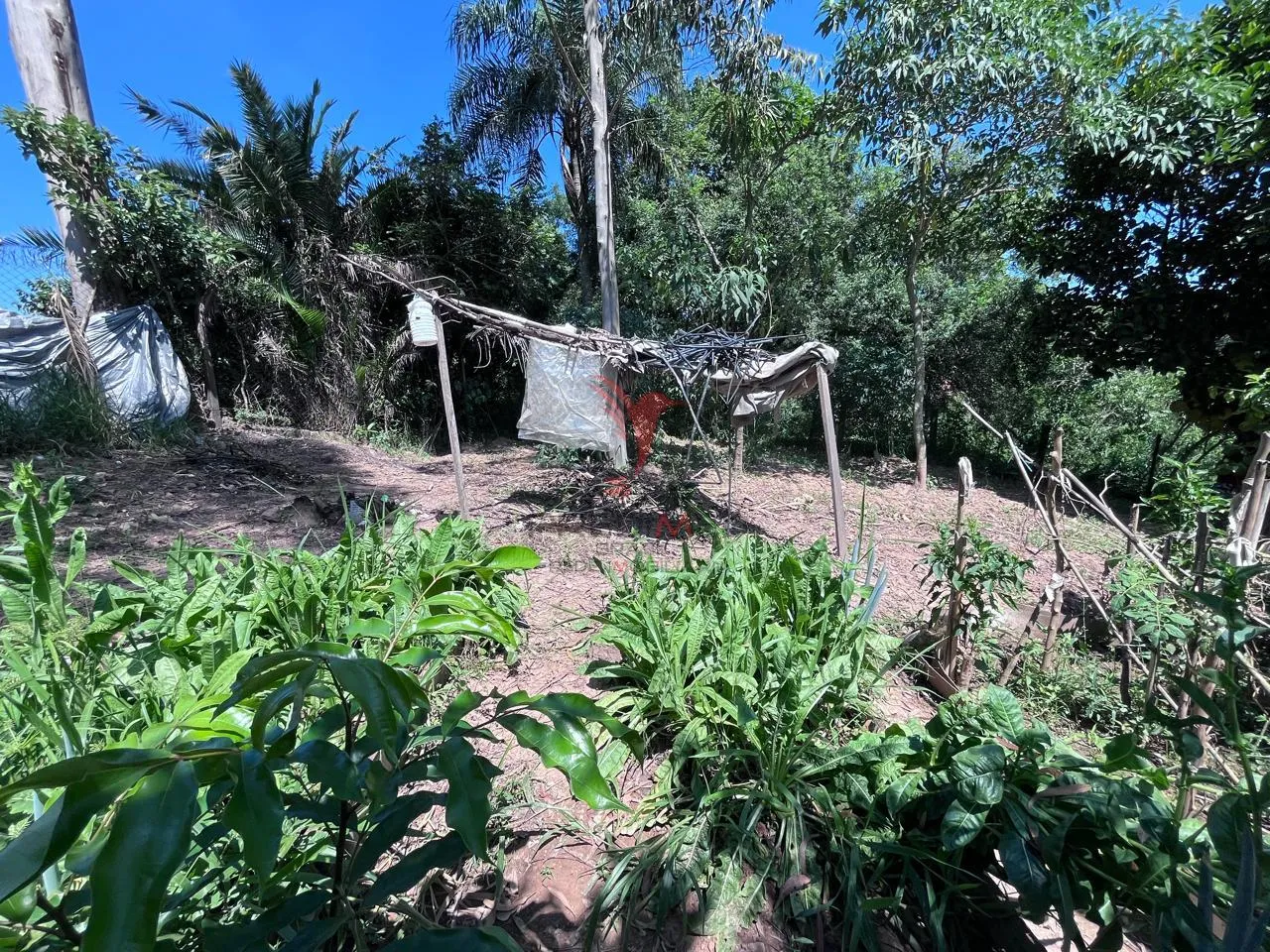Imagem Sítio com 8.000 metros a venda em Araçariguama, no bairro Ella