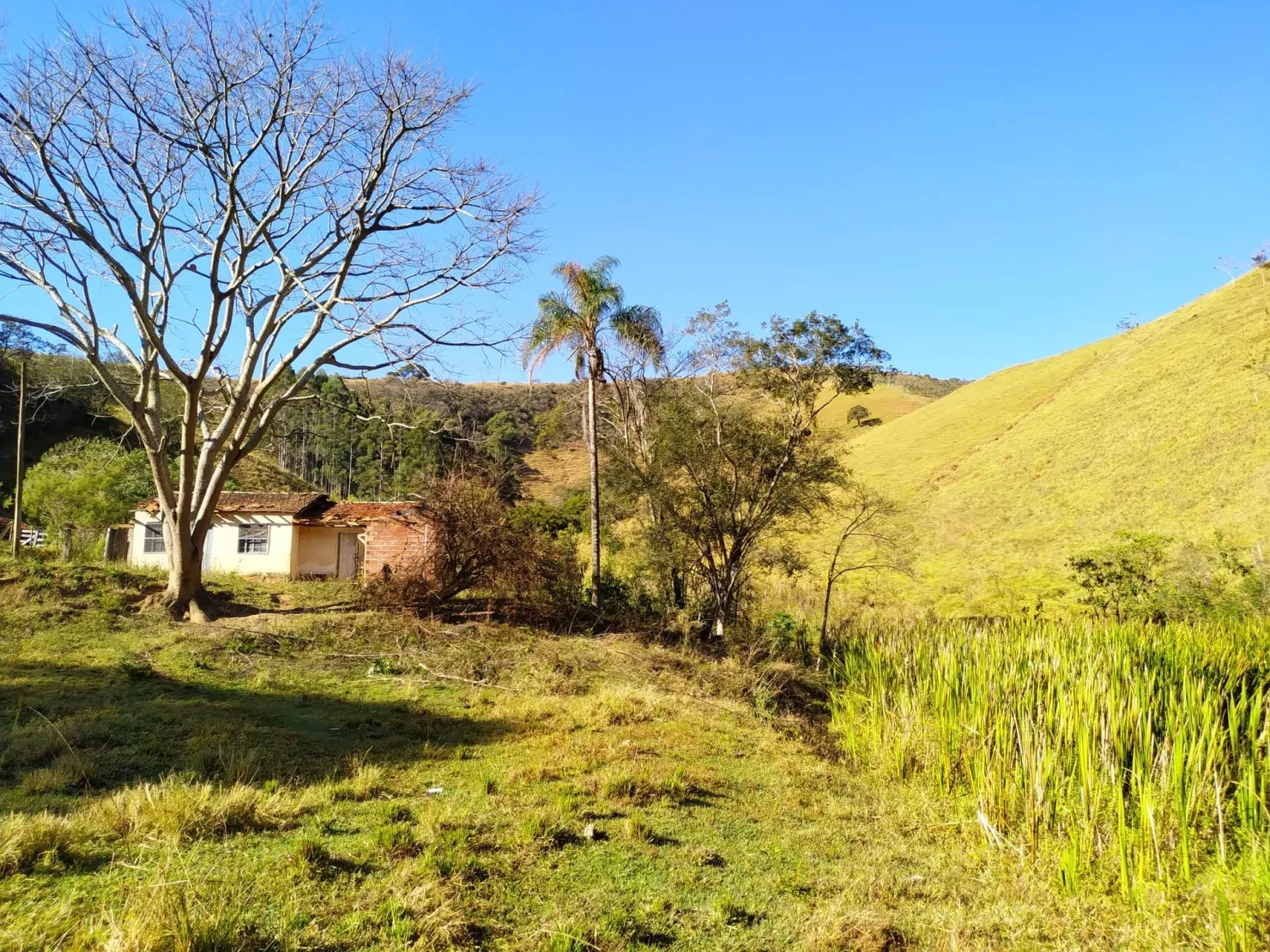 Imagem Chácara à venda 3 Quartos, 36000M², Zona Rural, Cunha - SP