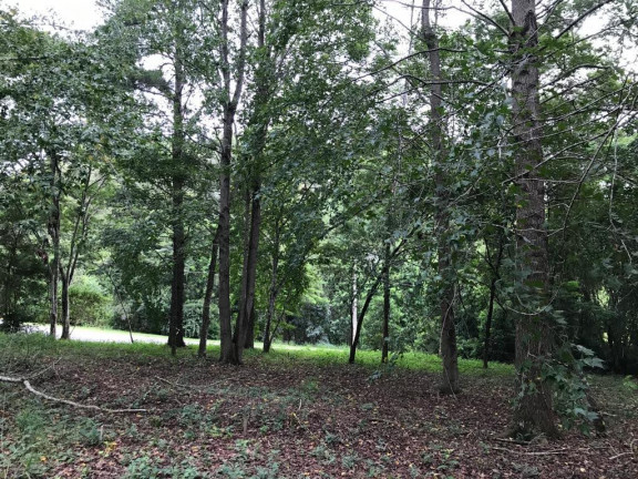Imagem Terreno em Condomínio à Venda, 1.212 m² em Caxambu - Jundiaí