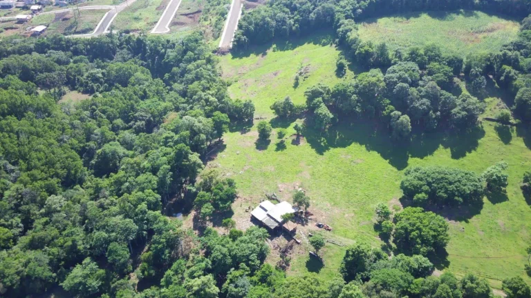 Imagem Área Agrícola para Venda em Arabuta, Centro