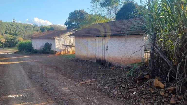 Imagem Chácara para Venda em Concórdia, Área Rural de Concórdia, 4 dormitórios, 1 suíte, 4 banheiros, 2 vagas