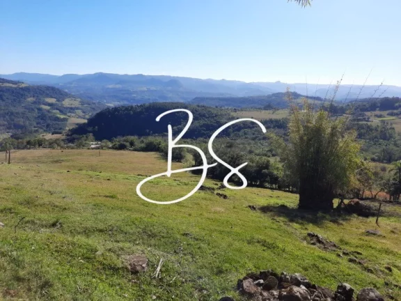 Imagem SITIO RURAL em IGREJINHA - RS, Rochedo