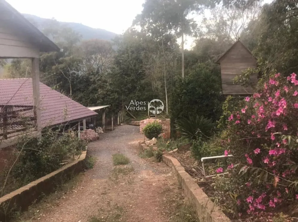 Imagem Sítio à Venda em Linha São Joao, Canela - RS