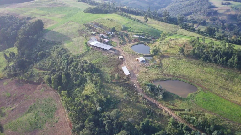 Imagem Área Agrícola para Venda em Concórdia, Interior