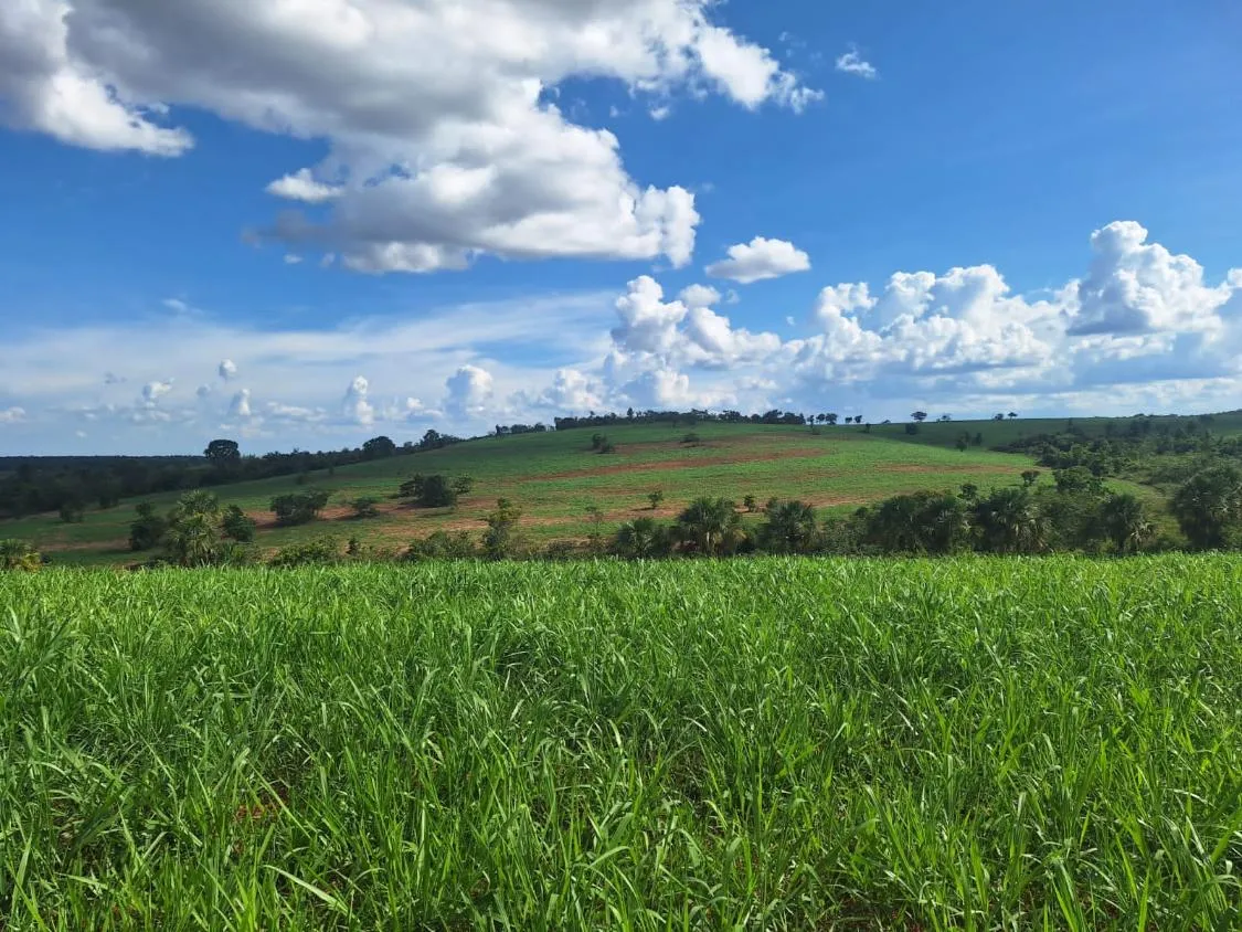 Imagem FAZENDA À VENDA - SÃO GONÇALO DO ABAETÉ (MG) 1.250 hectares de área total.