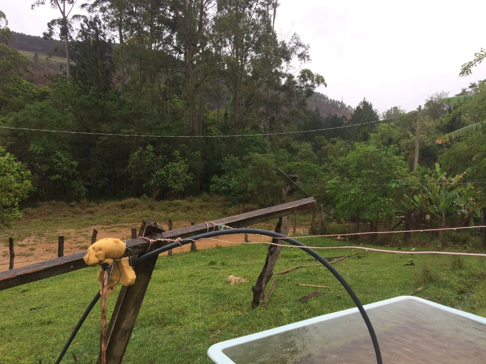 Imagem Oportunidade: Sítio com Muito Verde e Água de Nascente