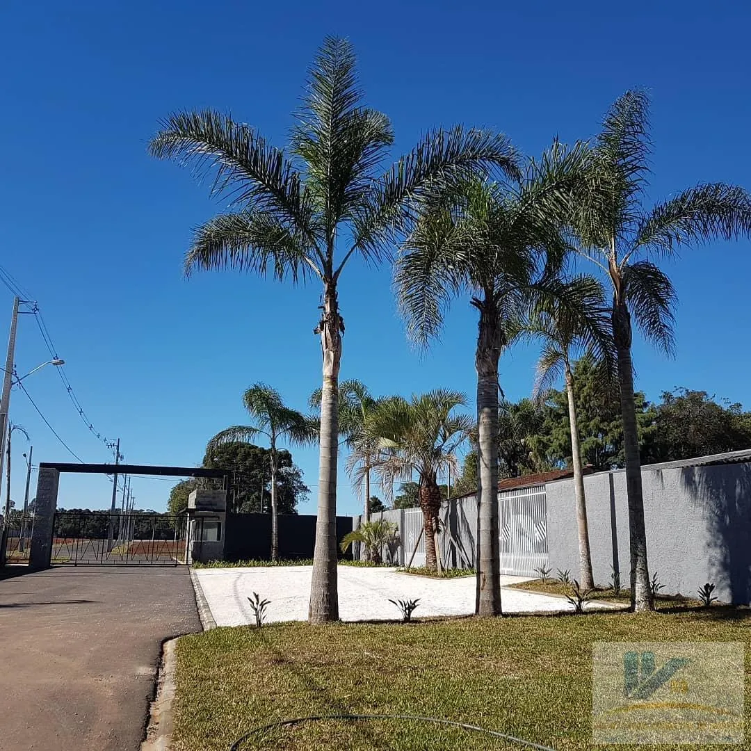 Imagem Lote para Venda em São José dos Pinhais, Campo Largo da Roseira