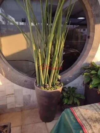 Imagem Aluga-se sobreposta alta Luxo 1 vaga gonzaga