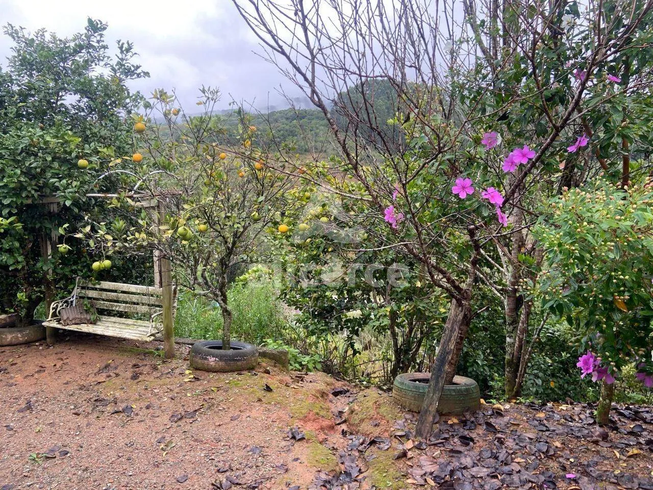 Imagem Sítio/Chacará à Venda no Pagará - Santo Amaro da Imperatriz/SC