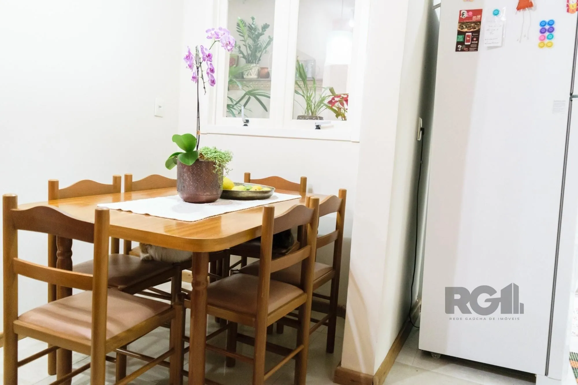 Imagem Apartamento em Petrópolis