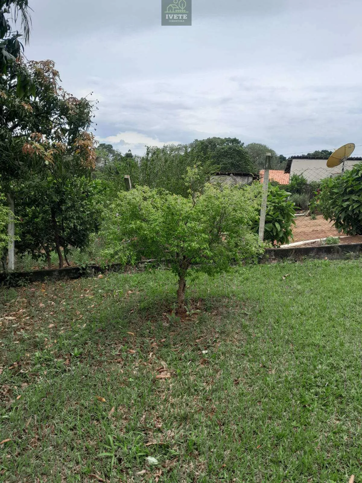 Imagem Chácara à Venda em Pinhalzinho/SP