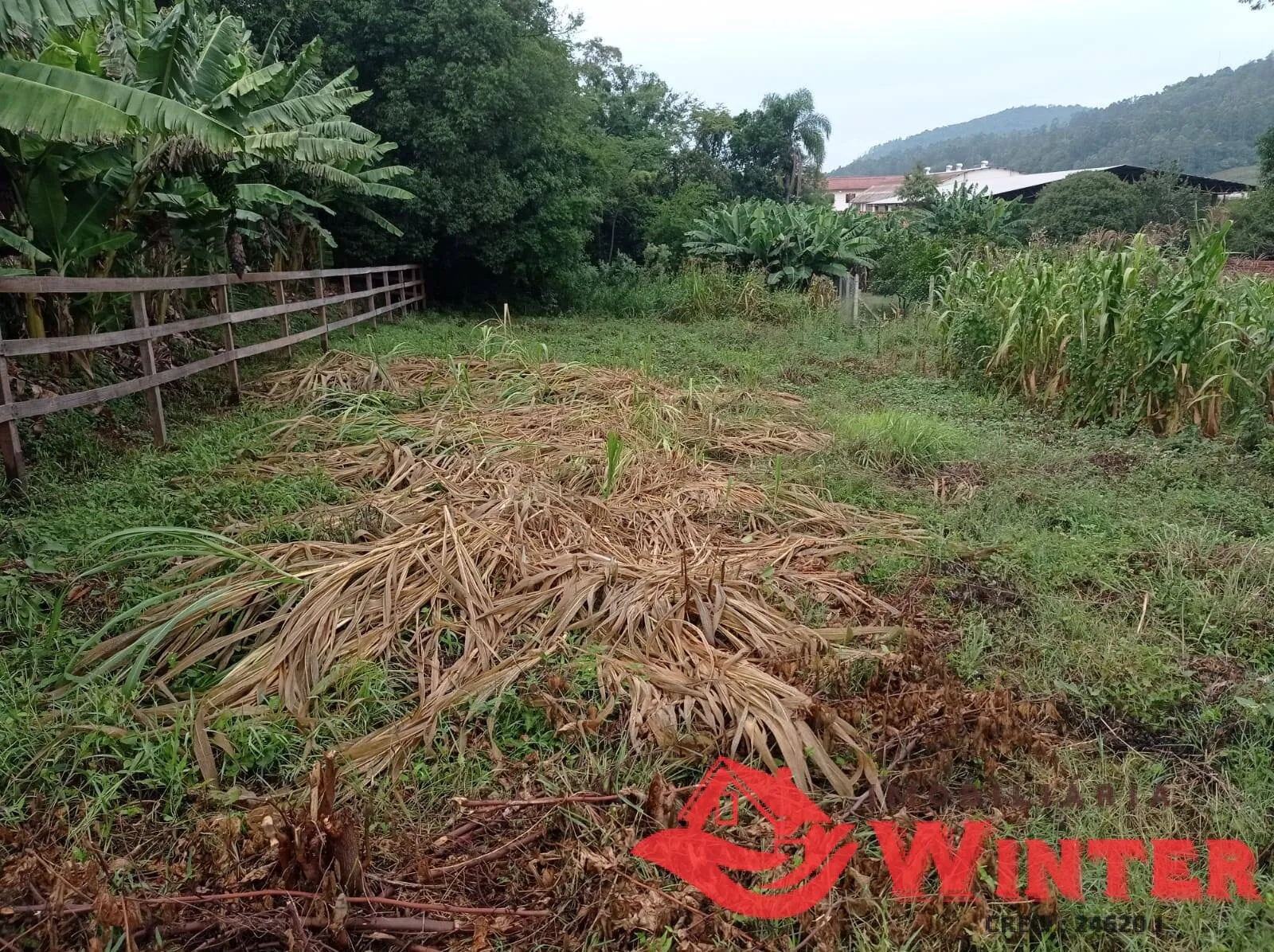 Imagem Terreno de 360m² no Centro de Tupandi.