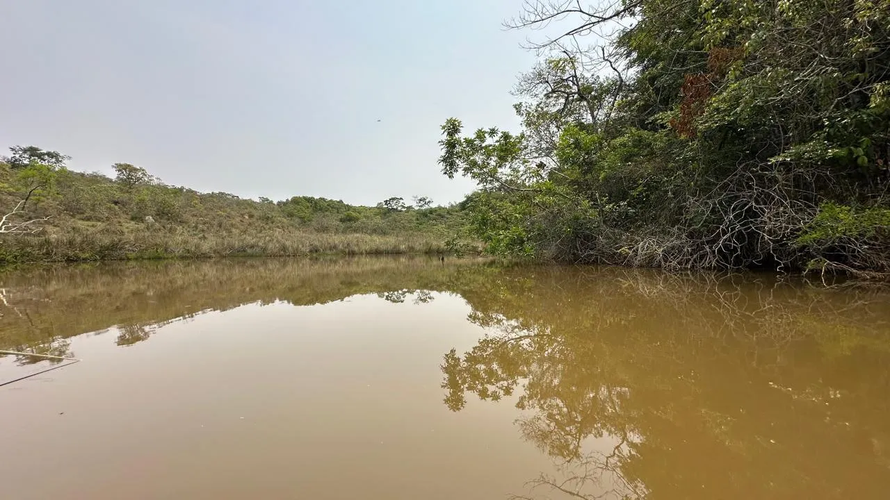 Imagem FAZENDINHA À VENDA - PASSA TEMPO (MG) 51 hectares de terra