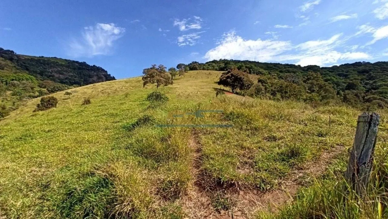 Imagem Chácara à venda 3 Quartos, 3 Suites, 4 Vagas, 290400M², Zona Rural, Paraisópolis - MG