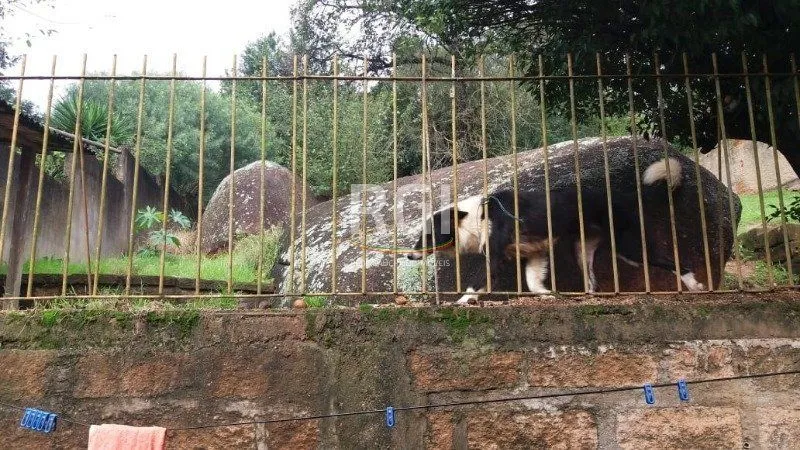 Imagem Terreno para Venda - 0m², 0 dormitórios, Tristeza