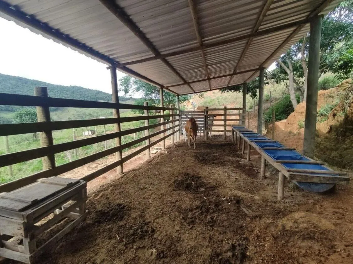 Imagem FAZENDA À VENDA Antônio Dias 48 hectares de terra