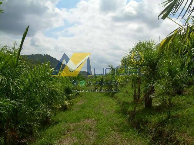 Imagem Oportunidade Estratégica: Terreno com Casa Ampla e Alto Potencial Comercial