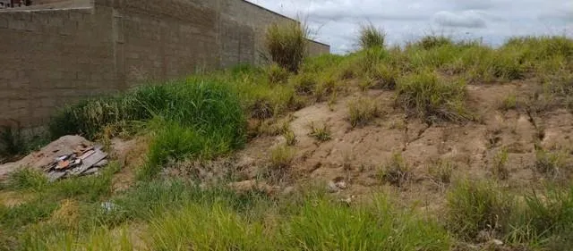 Imagem TERRENO- ESPIRITO SANTO DO PINHAL