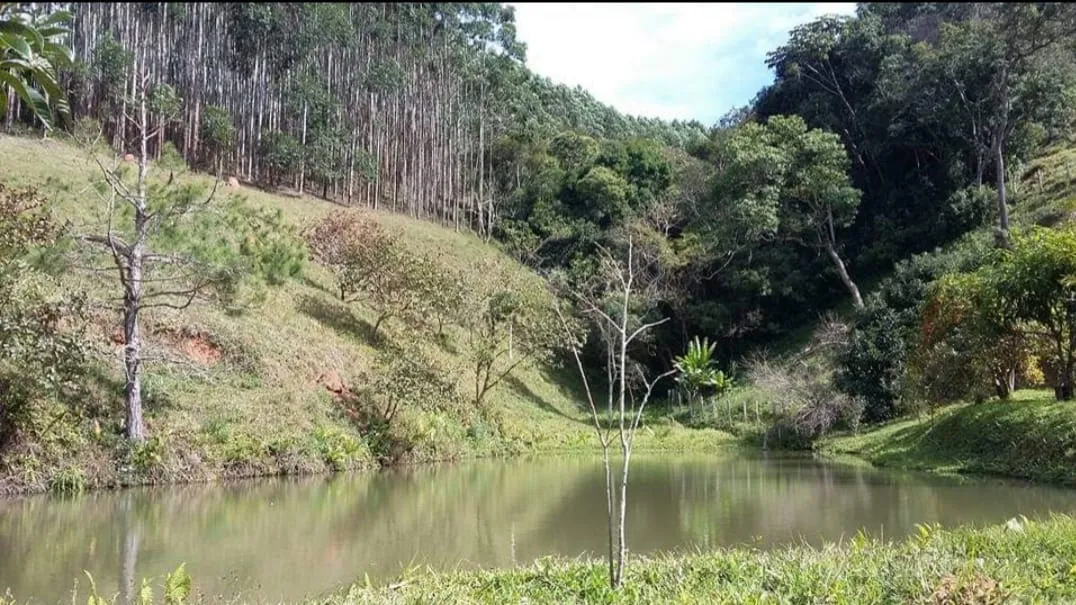 Imagem Chácara à venda 4 Quartos, 4 Suites, 1452000M², Zona Rural, Salesópolis - SP