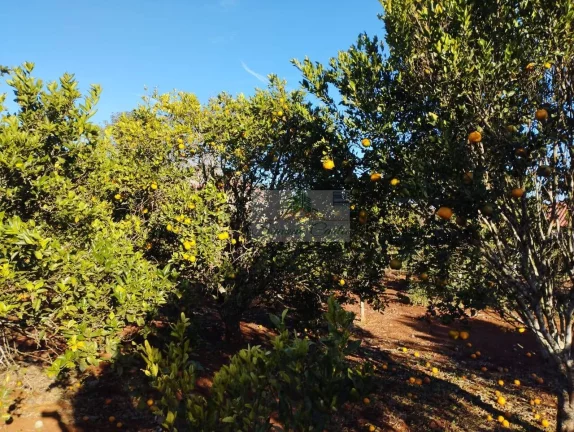 Imagem CHÁCARA JARDIM CANANÉIA