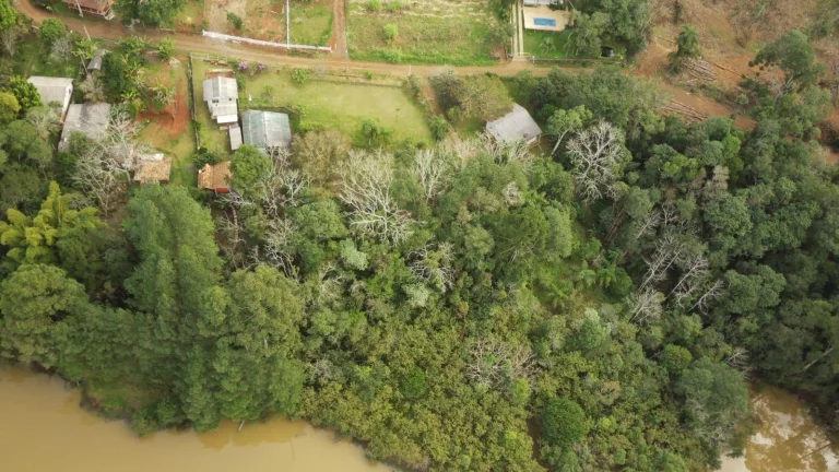 Imagem Sítio / Chácara para Venda em Concórdia, Interior, 2 dormitórios, 1 banheiro