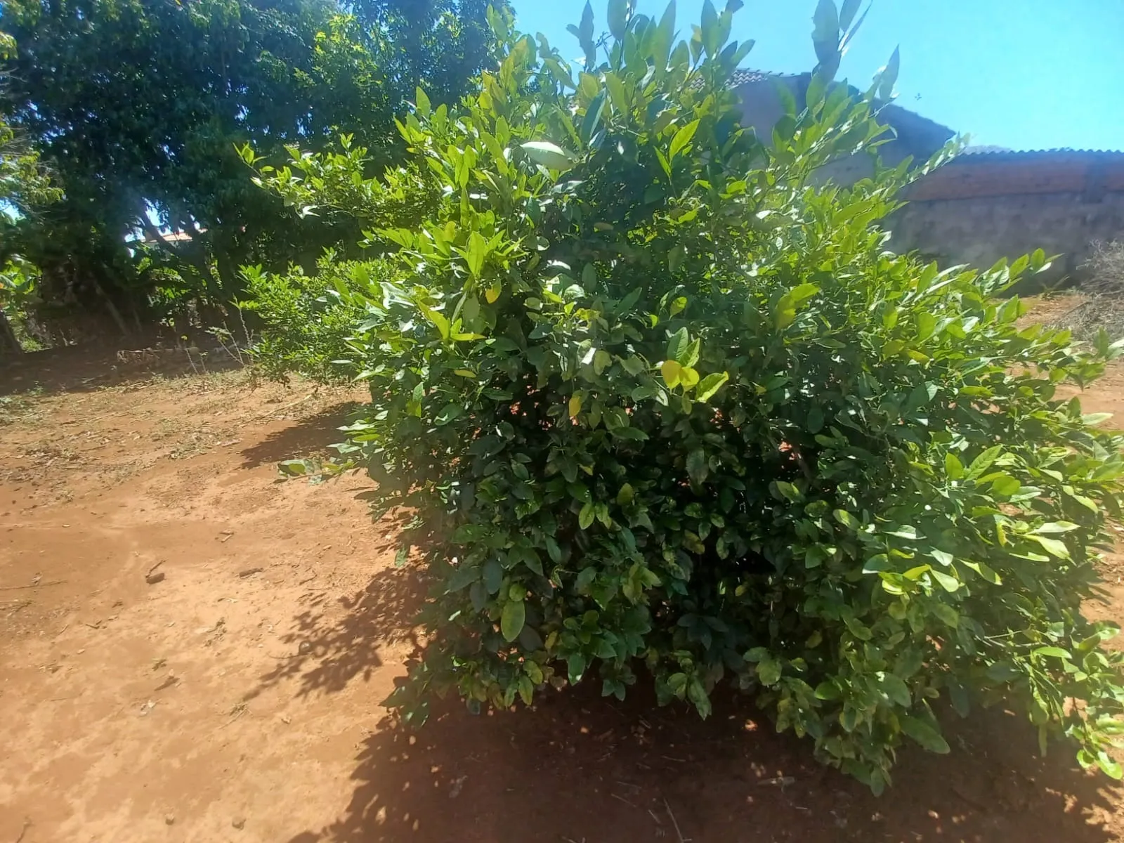 Imagem Chácara de esquina | Condomínio Arco-Íris - Salto de Pirapora | 2.000 m² de terreno | 230 m² de área construída | 3 dormitórios, sendo 1 suíte | Campo
