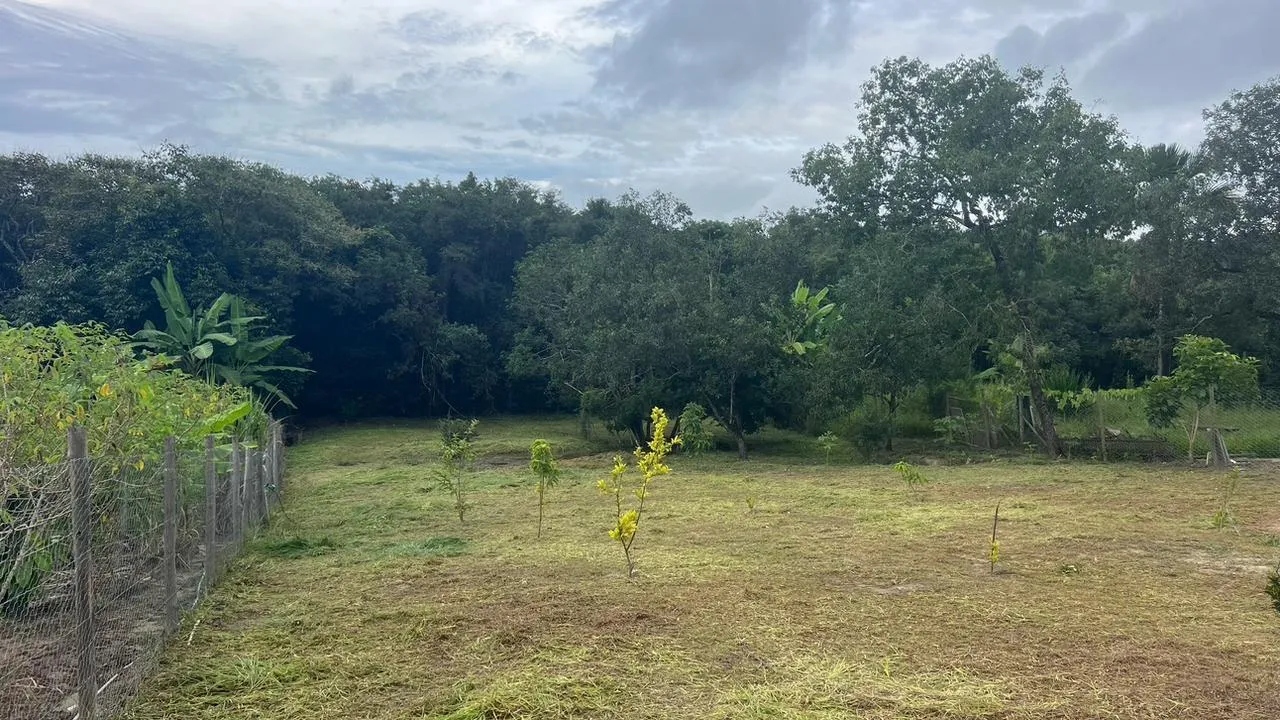 Imagem Chácara à Venda em Esmeraldas/MG ? 1.540 m² | Casa Reformada, Piscina e Pomar