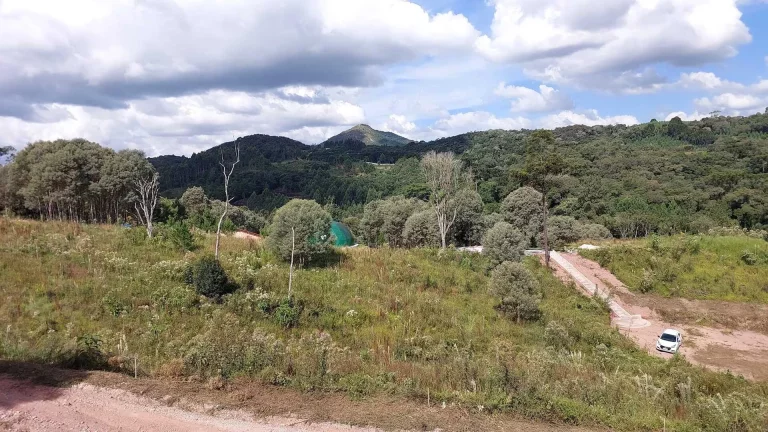 Imagem Chácara à venda em Campo Largo/PR