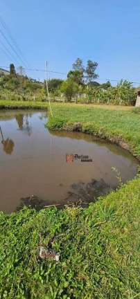 Imagem Chácara com 3 dormitórios à venda, 4533 m² por R$ 440.000,00 - Das Areias - Itapeva/MG