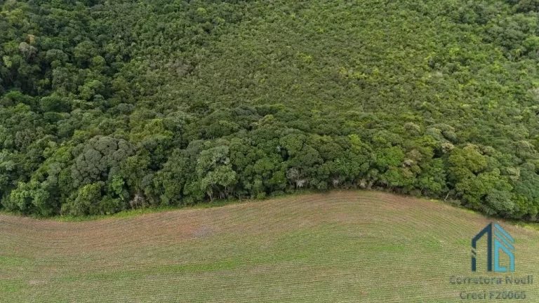 Imagem Área com 10 alqueires divisa com Rio Verde em Campo Largo - PR