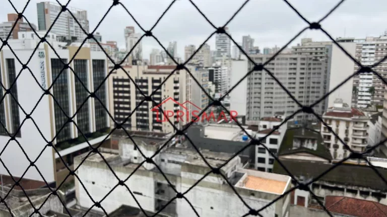 Imagem Alugo 2 dormitorios gonzaga