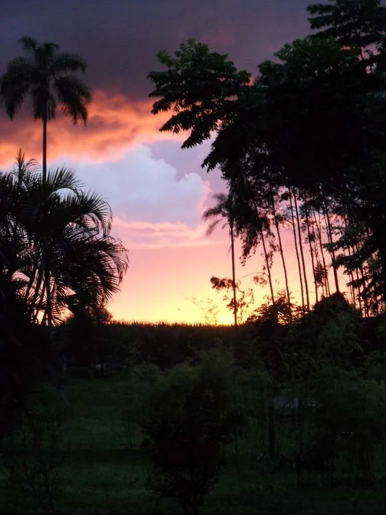 Imagem Chácara à venda 233472.24M², Zona Rural, Santa Cruz da Conceição - SP