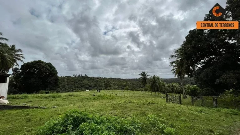 Imagem SÍTIO EM CAJAZEIRAS DE ABRANTES