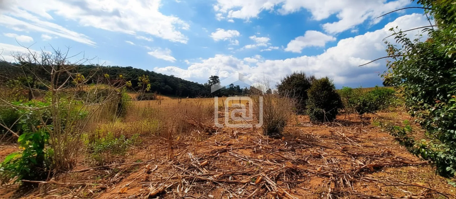 Imagem Sítio à venda em Faxinal, Botelhos