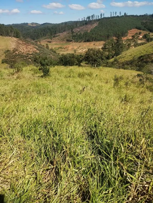 Imagem Excelente Terreno à Venda em Piranga/MG: 36 Hectares com Rica Infraestrutura