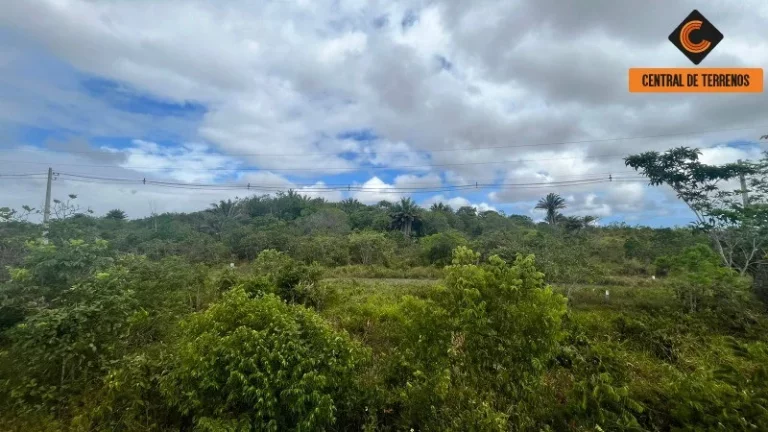 Imagem TERRENO VIA PARAFUSO - BA 535