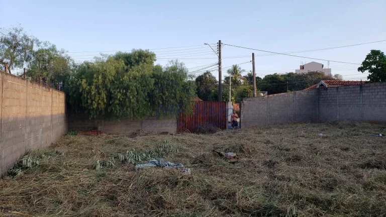Imagem Terreno Padrão