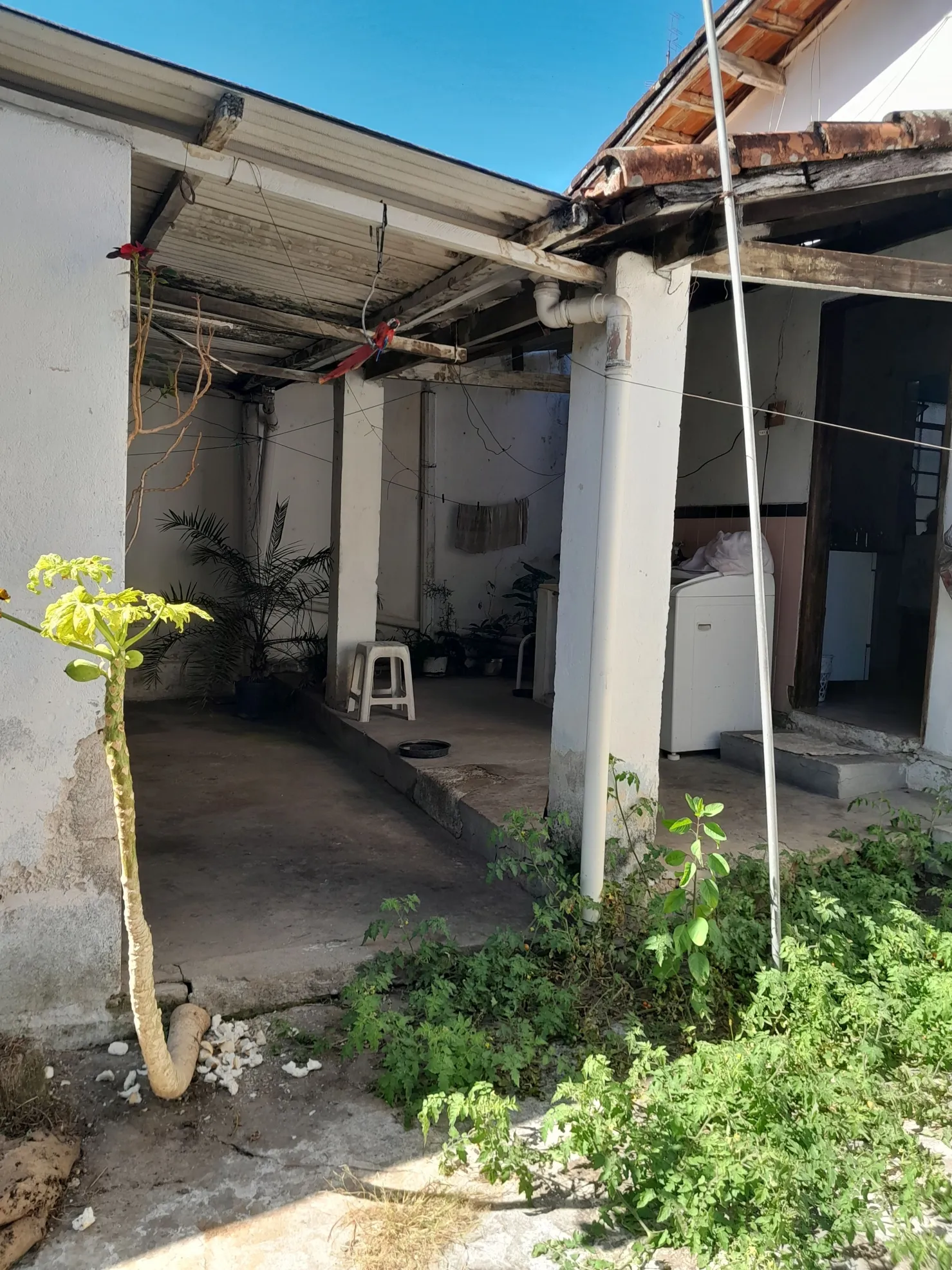 Foto do imóvel Casa à venda, Boa vista,a 5 minutos do centro