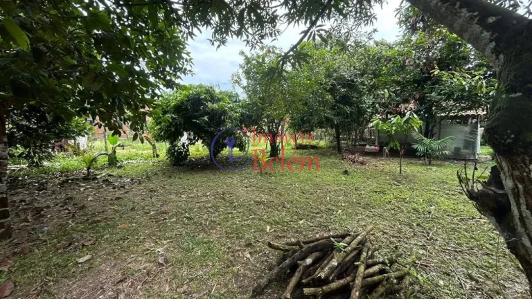 Imagem Imóveis Belém vende casa em Vigia