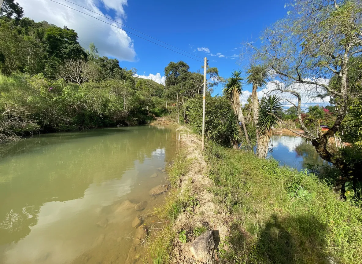 Imagem Chácara 100 m² à venda em Amendoins, Caldas