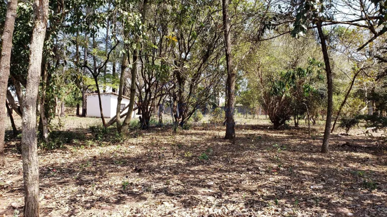 Imagem Terreno Padrão