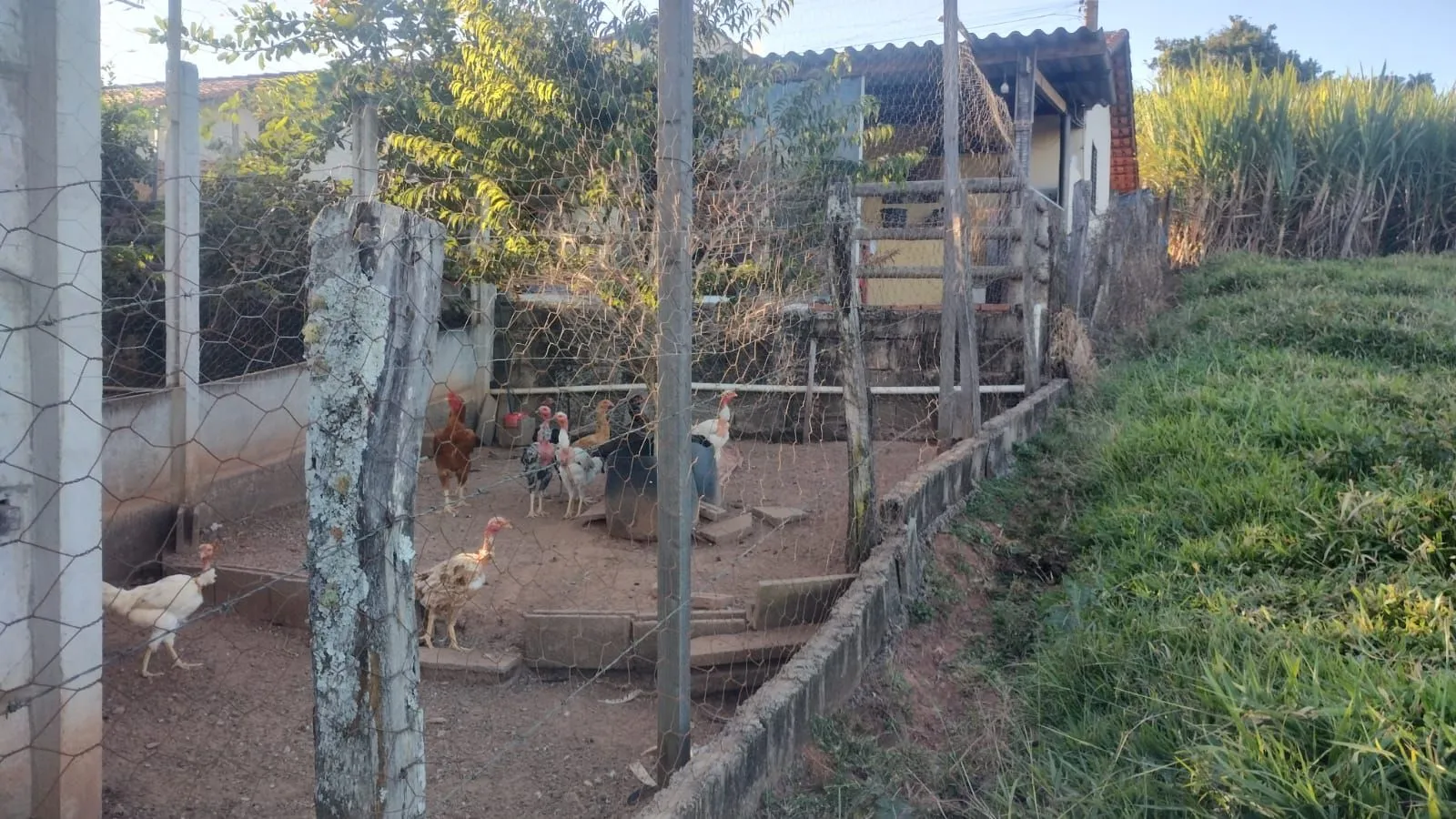 Imagem Terreno à venda, 480 m² por R$ 150.000,00 - Área Rural de Patos de Minas - Patos de Minas/MG